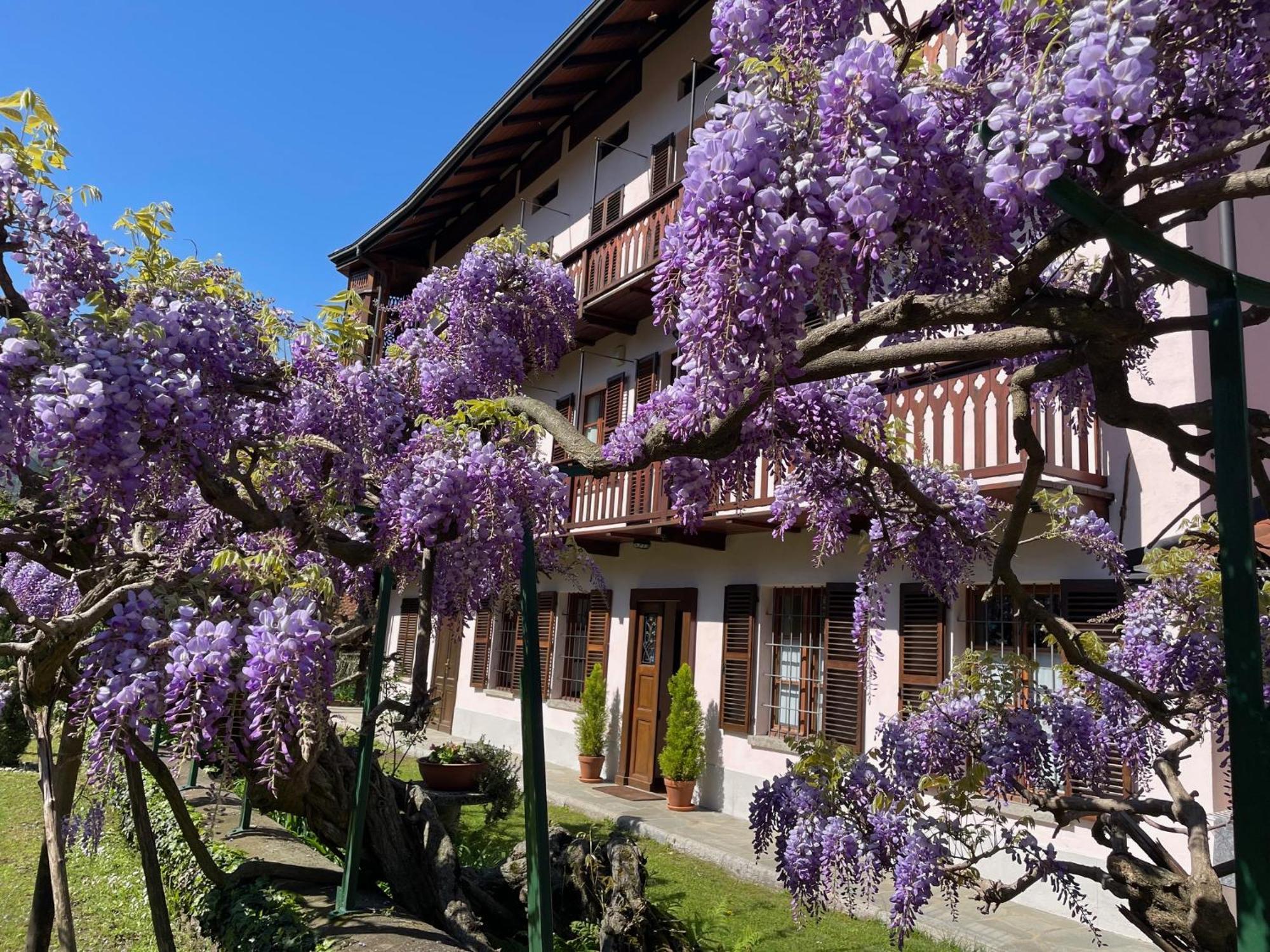 Dimora Fiorita Senior My Holiday Home Varallo Kültér fotó